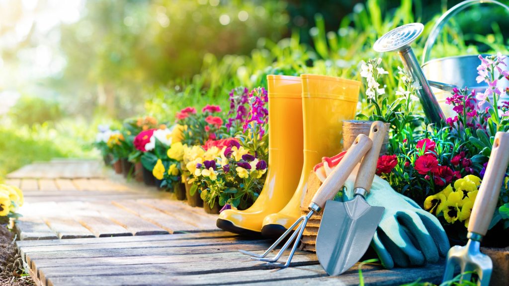 Landscaping 1