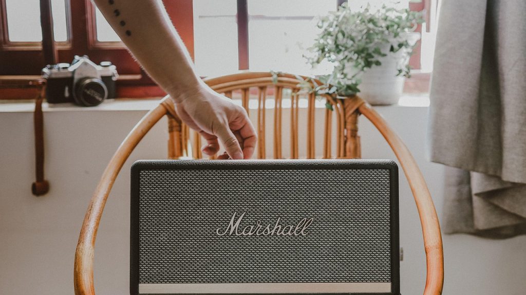 Speaker, marshall, chair — "Choosing the Right Service for Window Installation in Columbia"